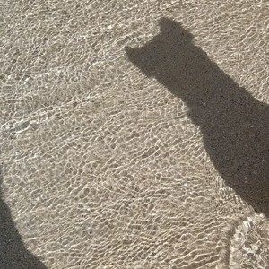 Meet your Posher, George